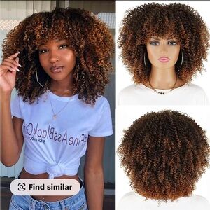 Curly Brown Ombre Wig